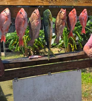 Nothing beats deep sea fishing in Destin, Florida—calm waters, big fish, unforgettable action.