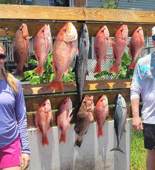 Gulf Fishing Adventures Start Here