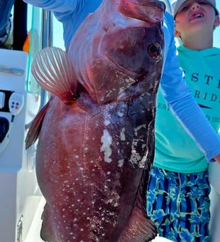 Red grouper caught in Destin FL waters!