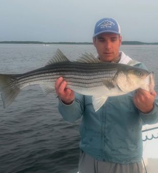 Fun morning in the great marsh today!