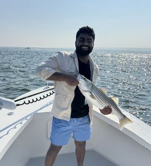 Clean Striper reeled in! - Ipswich, MA.