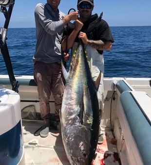 Unforgettable Tuna Fishing Adventures Await
