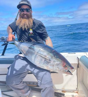Thrilling San Diego Bay Fishing! Tuna Fishing