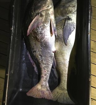 Best fishing spots in NJ
