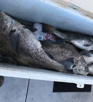 Freshwater fishing NJ
