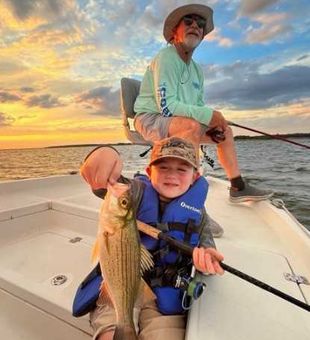 Reeling in striped bass