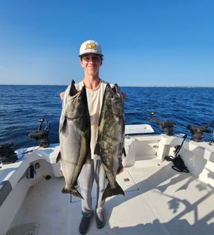 A productive day on Lake Michigan.