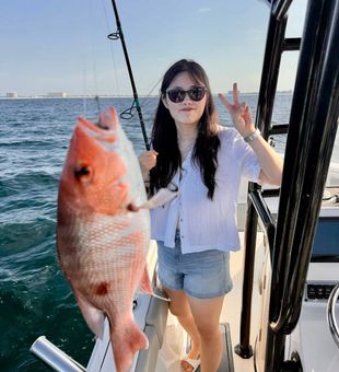 Reeling in reds off Panama City, FL coast.