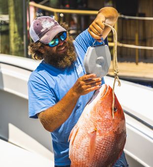 Explore Pensacola’s bays and estuaries on an inshore fishing charter.