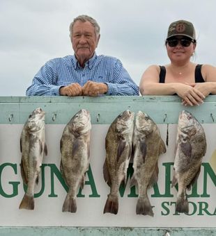Corpus Christi black drum filling up the boat!