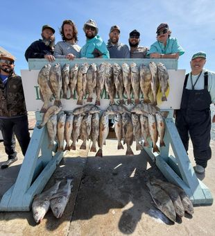 Outstanding black drum and redfish haul in Corpus Christi!