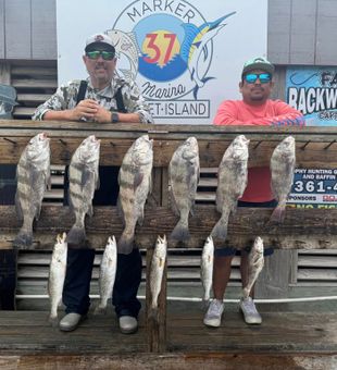 Big catch day in Corpus Christi