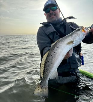 Catch of the day in Corpus Christi: Trout!