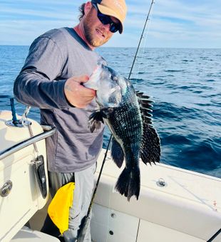 Black Seabass catch in Fishing Tours Charleston SC