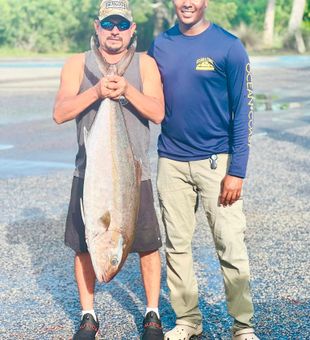 Amberjack Trophy in Fishing Trips Charleston SC!