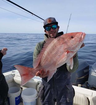 Red Snapper in Murrels Inlet, SC