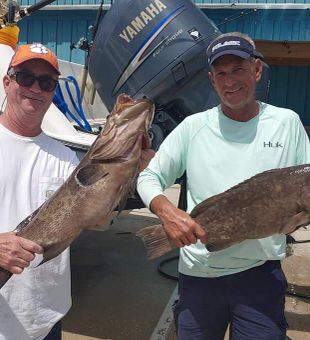 Broomtail Grouper in Murrels Inlet, SC