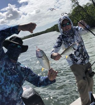 Yellow tail Snapper Catch in Florida Keys Fishing 