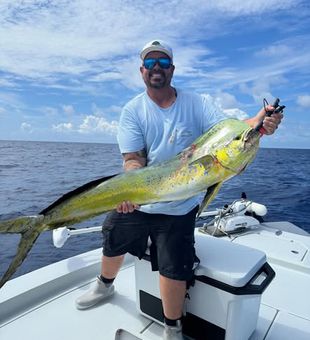 Experience the excitement of Mahi-Mahi madness in Key Largo, FL, where every offshore trip is packed with colorful catches and nonstop action.