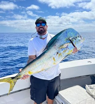 Hook into the magic of Mahi-Mahi fishing in Key Largo, one of Florida's premier offshore destinations.