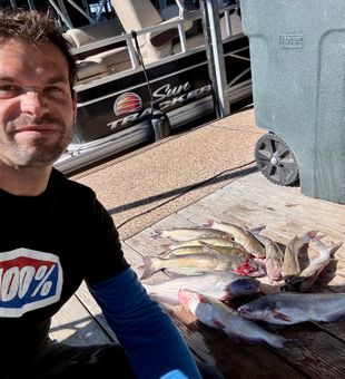 Your Local Rowlett Catfish Expert