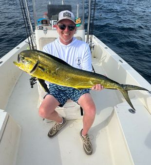 Mahi-mahi fishing!