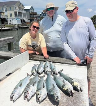 Whether you're visiting the coast or a local angler, North Carolina inshore fishing delivers year-round action.