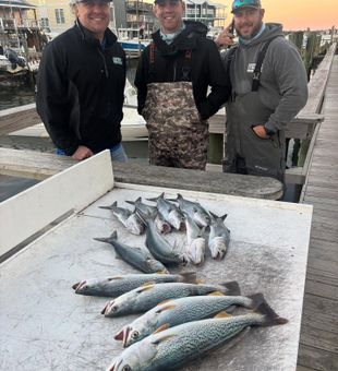 Where the fish are always biting.