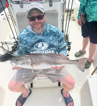 Redfish blitz – action you can’t miss!