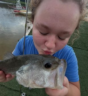 Great catch in Morehead City NC waters!