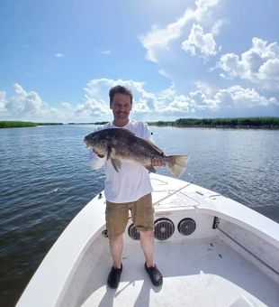 Black drum landed on a guided trip