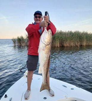 Monster Red! - Lafitte, LA.