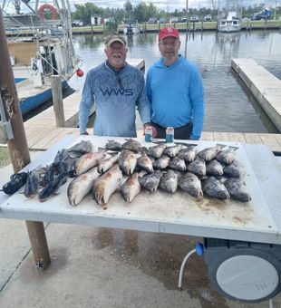 Pros limited out quick on a half day charter