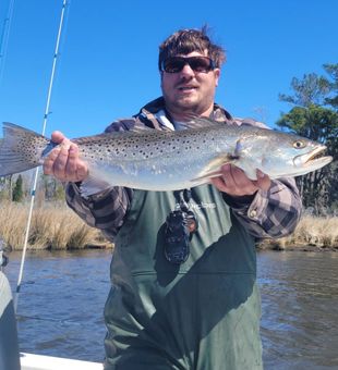 Chunky speckled trout—serious slab!