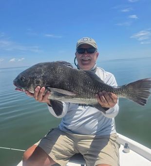 Nice black drum from Manns Harbor waters!