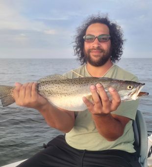 Easy does it. Trout caught by pro Angler.
