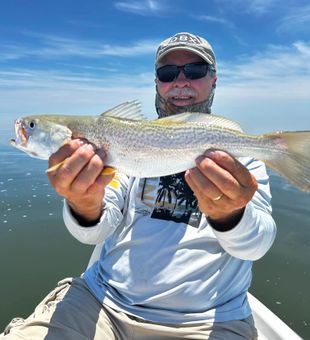Nice squeteague from Manns Harbor NC waters!