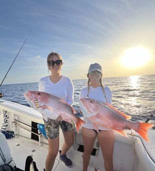 Morning Red Snappers! - Marco Island, FL.