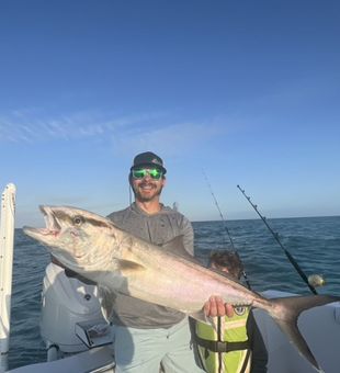 Monster Amberjack! - Marco Island, FL.