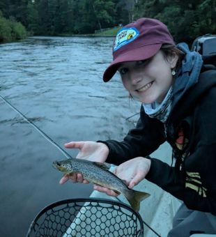 Cast, wait, catch, repeat