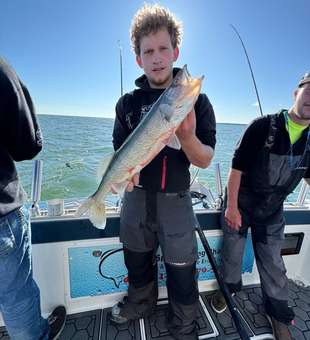 Bite after bite out here