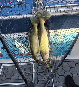Fish on—every trip