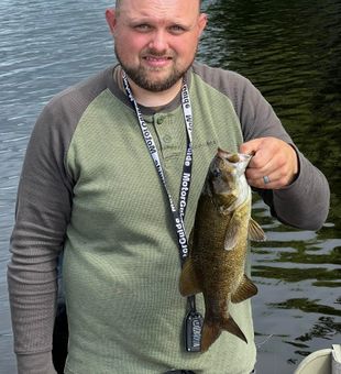Smallmouth bass from Maine lake