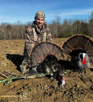Perfect morning for gobblers