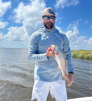 Chase Redfish tails in the shallow marsh flats.