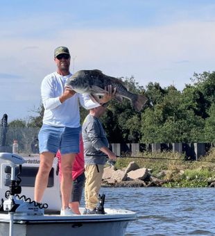 Cast for Black Drum in the marshes of Lafitte.