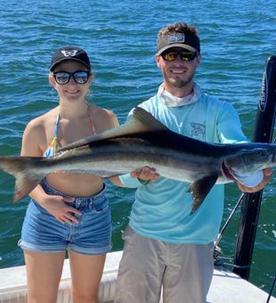 Cobia Fishing Fun