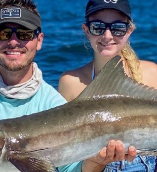 Cobia fishing Naples, Fl
