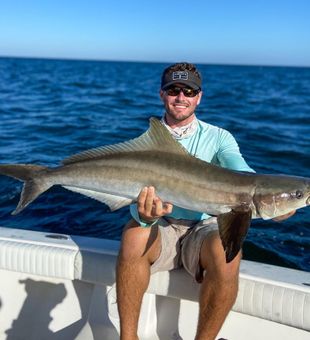 Nice Cobia in Naples
