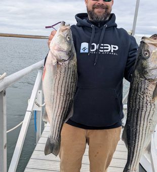 Fall striped bass fishing in Atlantic  City is on fire!